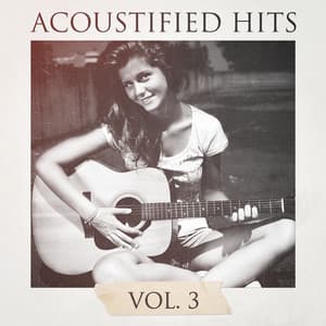 Acoustified Hits, Vol. 3 - 60's 70's 80's 90's Hits