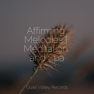 Affirming Melodies | Meditation and Spa - Baby Lullabies Music