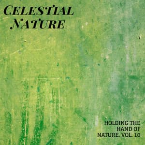 Celestial Nature - Holding the Hand of Nature, Vol. 10 - Sleep Crickets