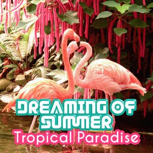 Dreaming of Summer - Tropical Paradise, Impressive Nature Sounds, Exotic Moments of Pure Relaxation - Exotic Nature Kingdom