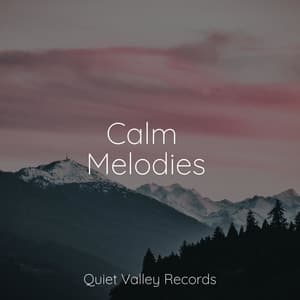 Calm Melodies - Heavy Rain Sounds