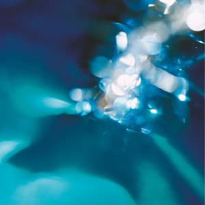 Grooves and Pads - Jeff Newmann