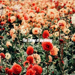 The Theme of Gardening - Jazz Suave