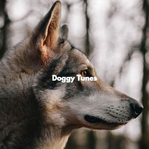 Doggy Tunes - Dog Separation Anxiety Music