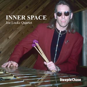 Inner Space - Joe Locke