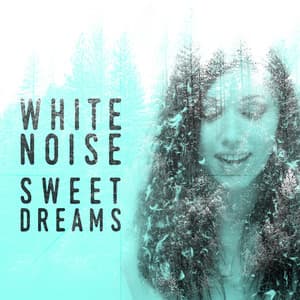 White Noise: Sweet Dreams - Relax Meditate Sleep