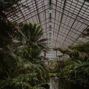 Moments of Nature | Calm Music | Meditation - Musica de Relajación Academy