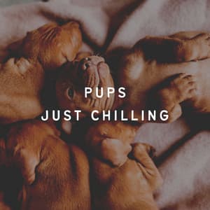 Pups Just Chilling - Official Pet Care Collection
