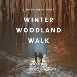 Winter Woodland Walk - Sleep Sounds of Nature