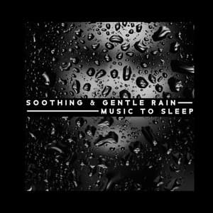 Soothing & Gentle Rain: Music to Sleep with Relaxing Nature Sounds - Trouble Sleeping Music Universe