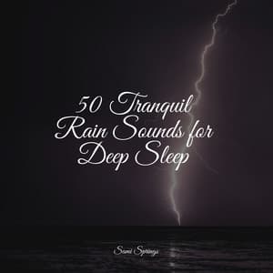 50 Tranquil Rain Sounds for Deep Sleep - Sounds of Nature White Noise for Mindfulness Meditation and Relaxation