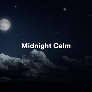 Midnight Calm - Meditation & Focus Workshop