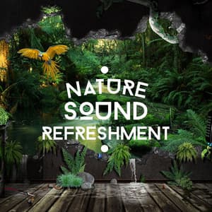 Nature Sound Refreshment - Bruits naturels