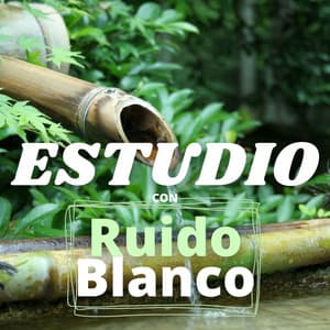 Estudio con Ruido Blanco Zen: Canciones con Sonidos de la Naturaleza Estupendos para Mejorar la Concentración - Efectos de Sonido Star