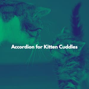 Accordion for Kitten Cuddles - Chill Jazz Playlist