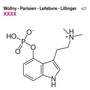 XXXX - Michael Wollny