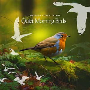 Quiet Morning Birds - Swedish Forest Birds