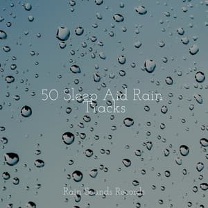 50 Sleep Aid Rain Tracks - Spa & Spa