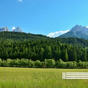 Birds Sounds & Ambient Rhythms - Relaxing Music For You