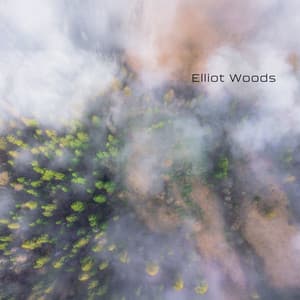 Healing Inhale - Elliot Woods