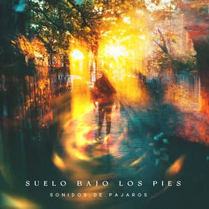 Suelo bajo los pies - Sonidos De Pajaros