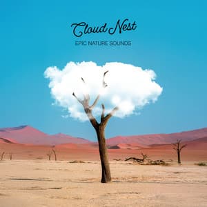 Cloud Nest - Epic Nature Sounds