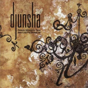 Djunsha - Daniel Woodtli Trio