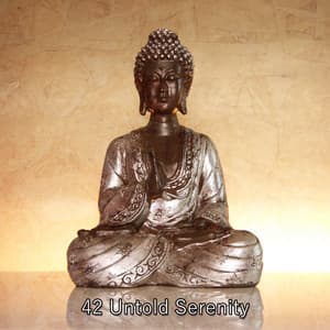42 Untold Serenity - Meditation Music Masters