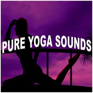 Pure Yoga Sounds - Massage Therapy Ensamble