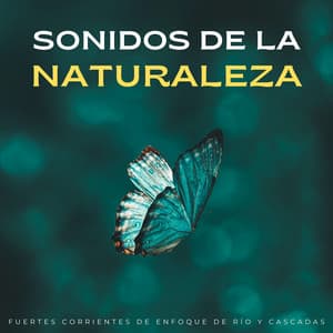 Sonidos De La Naturaleza: Fuertes Corrientes De Enfoque De Río Y Cascadas - Sonido de Cascada