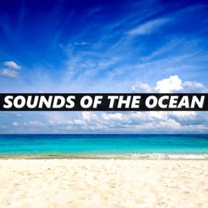 Sounds of the Ocean - Sounds Of The Ocean