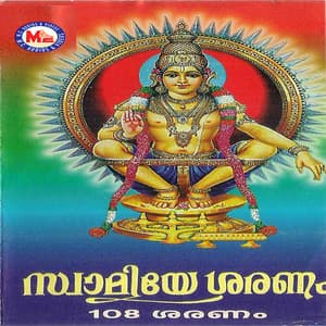 Swamiye Saranam - Satheesh Babu