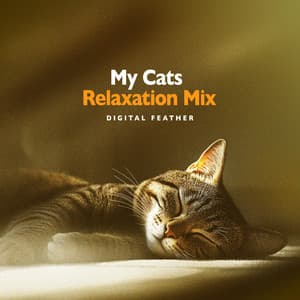 My Cats Relaxation Mix - Digital Feather