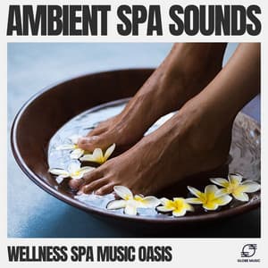 Ambient Spa Sounds - Wellness Spa Music Oasis