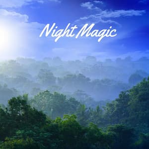Night Magic - Masala Roo