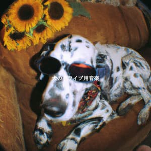 犬のドライブ用音楽 - New York Steakhouse Jazz