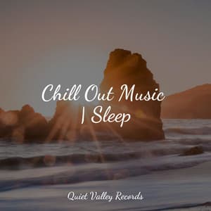 Chill Out Music | Sleep - Natural Sound Makers