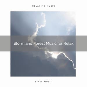 Storm and Forest Music for Relax - Rain Spa