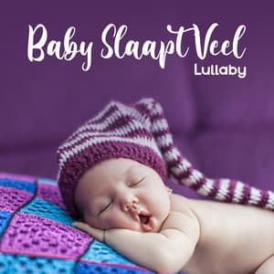 Baby Slaapt Veel: Lullaby, Ontspannende Muziek voor Baby's - Newborn Baby Song Academy