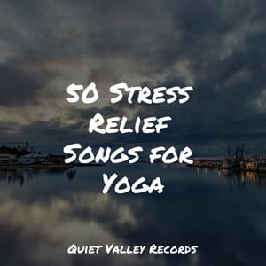 50 Stress Relief Songs for Yoga - Rain Sound Plus