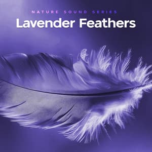 Lavender Feathers - Nature Sound Series