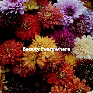 Beauty Everywhere - Musica Hoteles