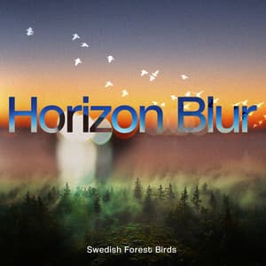 Horizon Blur - Swedish Forest Birds