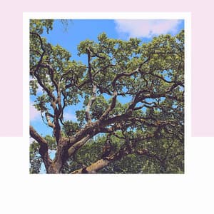 Relaxing Days - Office Music Playlist