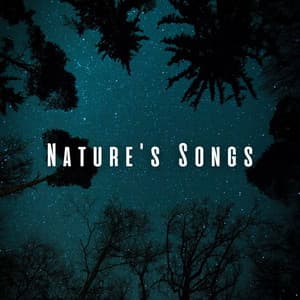 Nature's Songs: Peaceful Sleep with Cicada Sounds - Non-stop Nature Channel