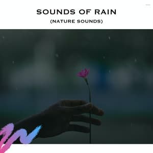 Sounds of Rain - Rain Radiance