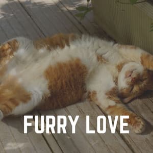 Furry Love - Music for Cats Peace