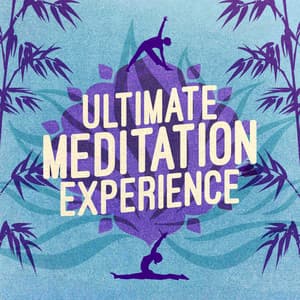 Ultimate Meditation Experience - New World Meditation