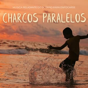 Charcos Paralelos: Música Relajante De Océano Para Enfocarse - 101 Naturaleza