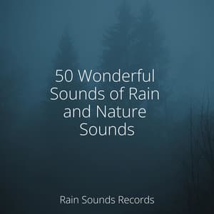 50 Wonderful Sounds of Rain and Nature Sounds - Musica para Bebes